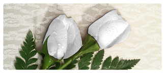 DNSEMP-L-060 2 Roses White